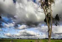 做营销型网站找哪家好,营销网站有哪些