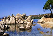 手机网站打不开了怎么解决视频教程,手机上有些网站打不开是什么原因