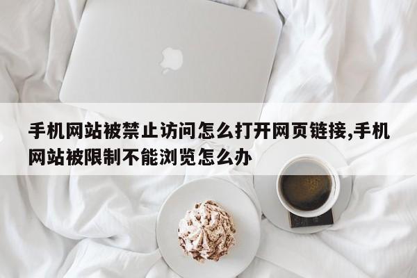 手机网站被禁止访问怎么打开网页链接,手机网站被限制不能浏览怎么办