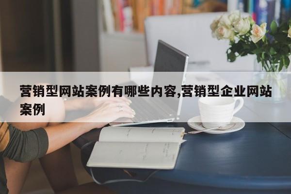 营销型网站案例有哪些内容,营销型企业网站案例